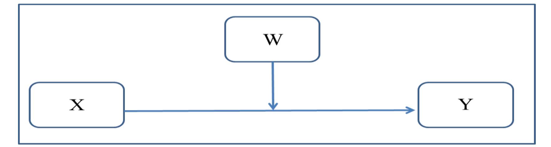 - moderation conceptual framework