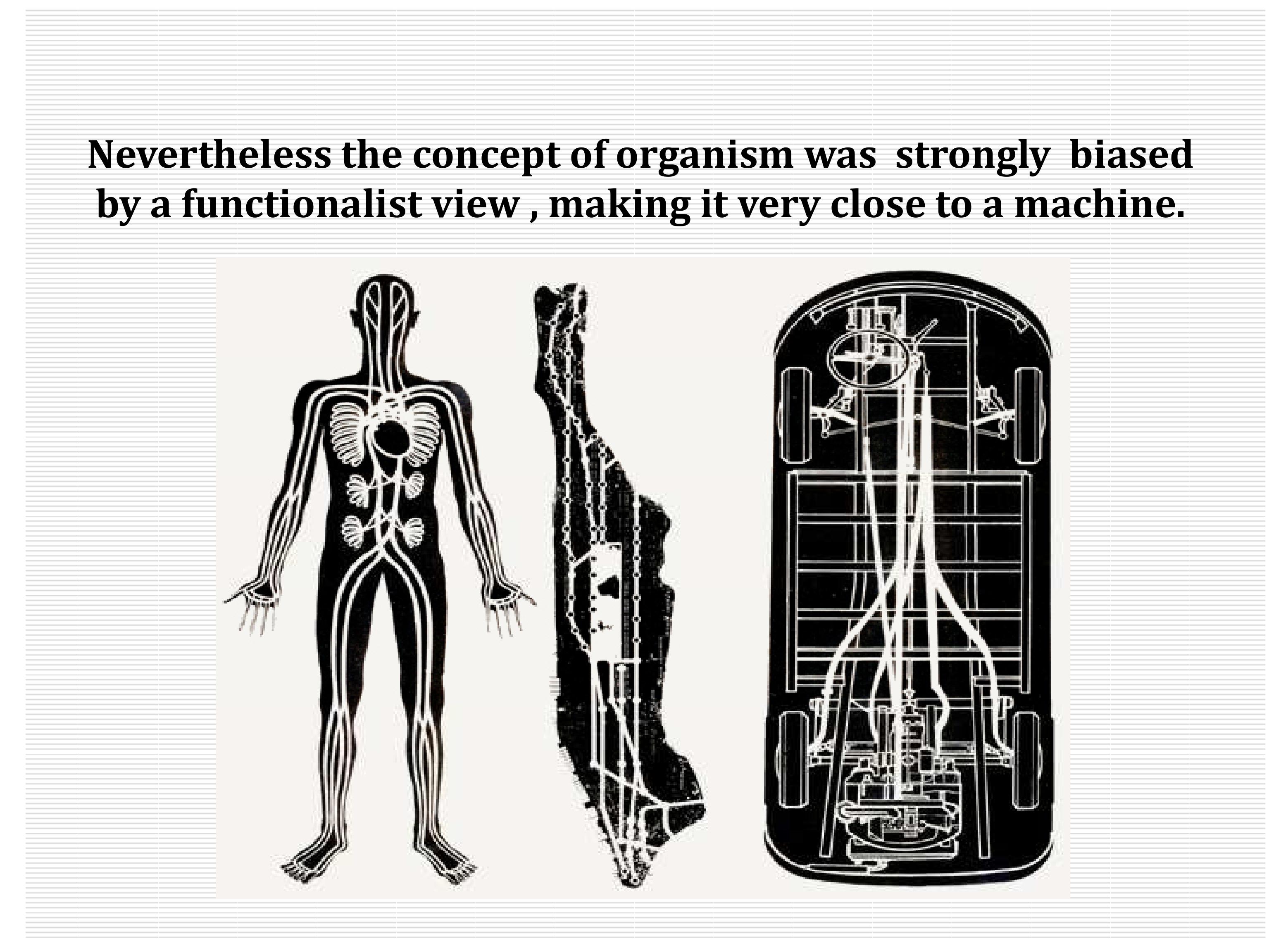 Figure 39 - Biourbanism for a human-centered sustainable