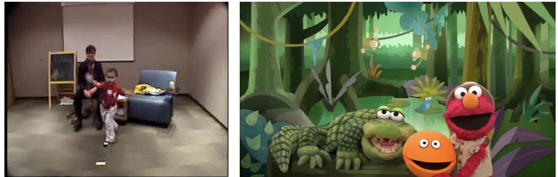 Figure 1. Ty throwing Paul Ball to Elmo in the Rainforest segment of the episode. 