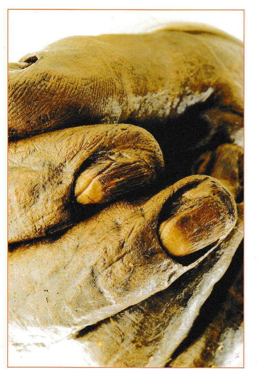 Bog Bodies – Kingship and Sacrifice.