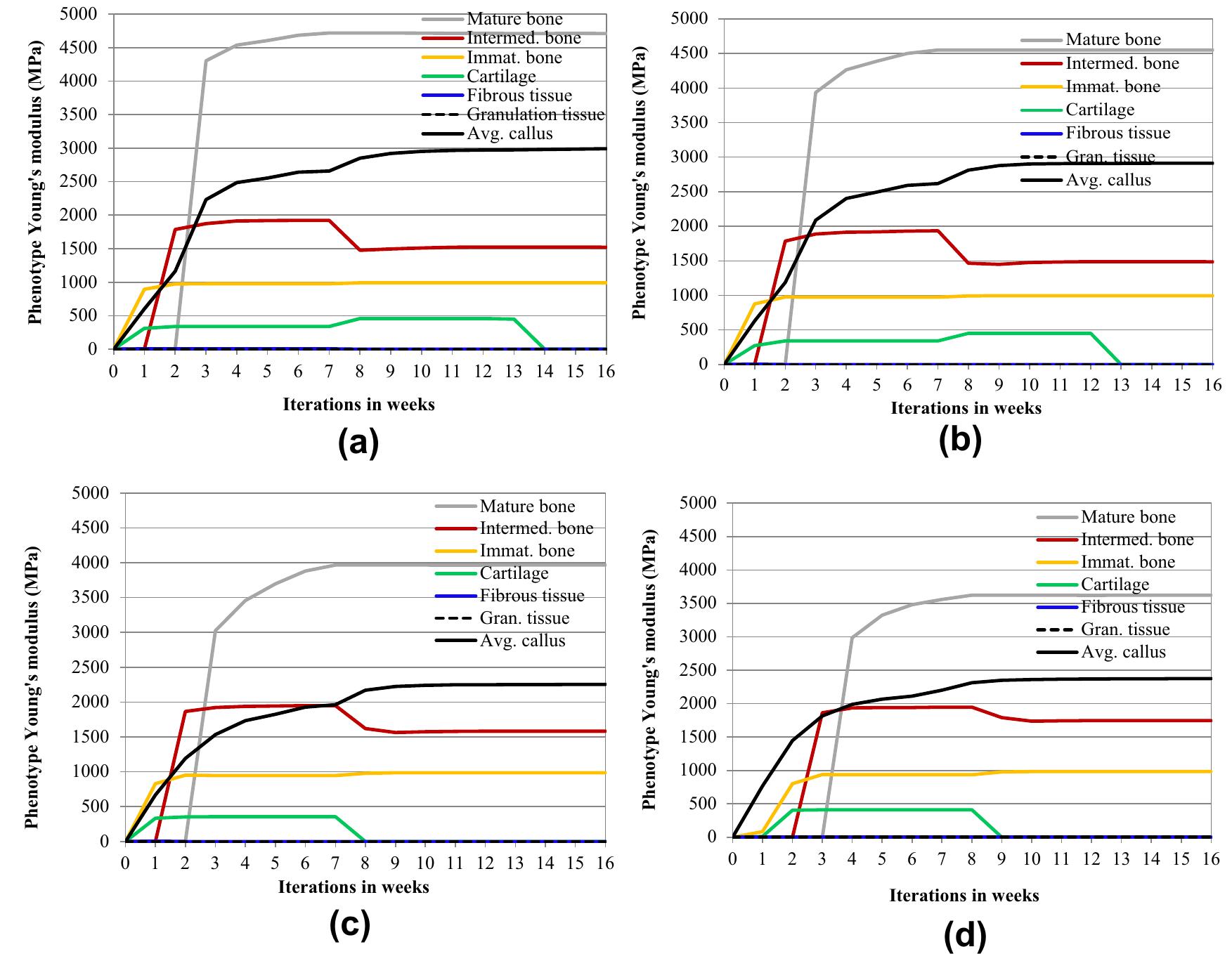 (PDF) Evaluation of healing performance of biodegradable composite bone ...