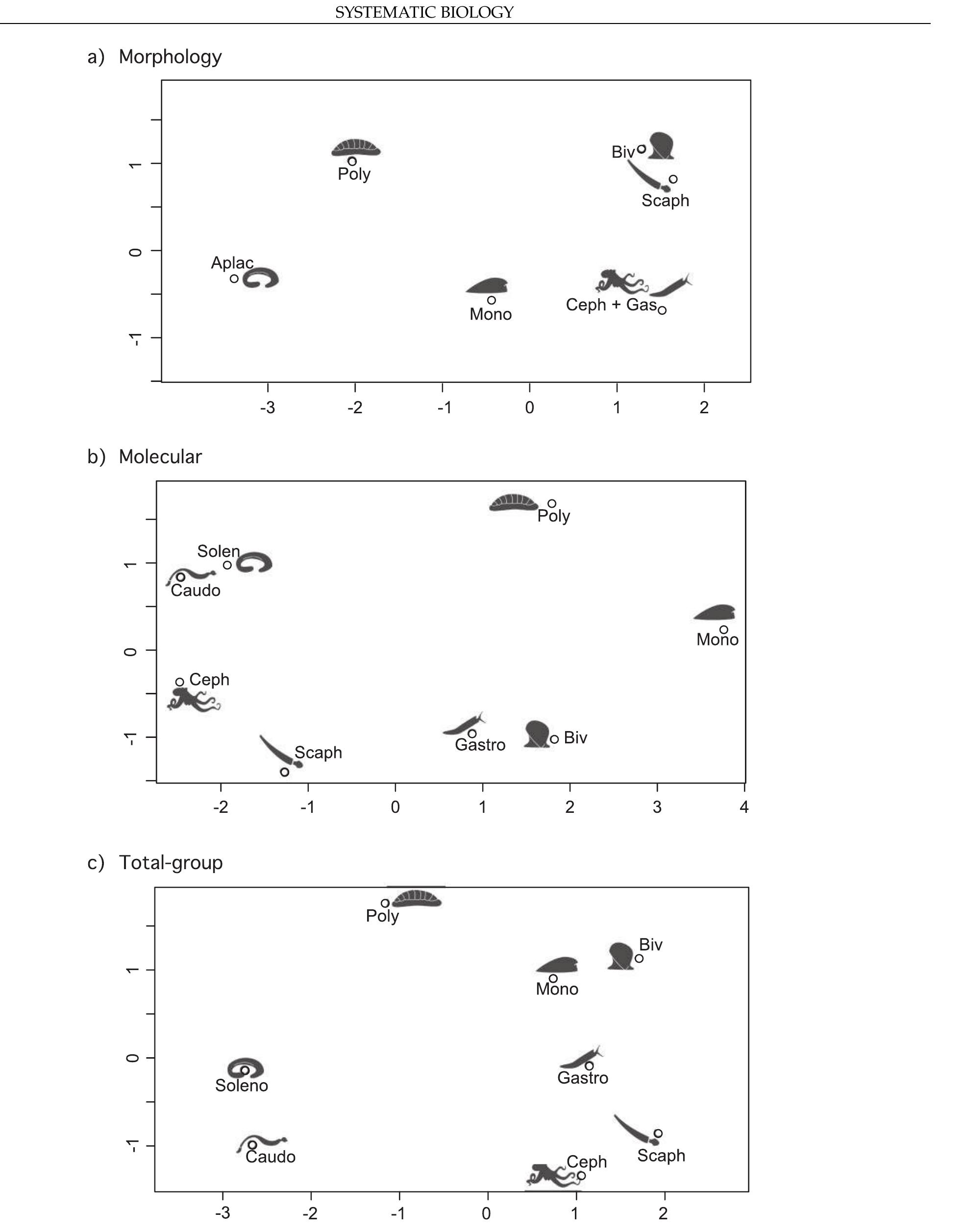 FiGuRE3. Multidimensional scaling plot of median internodal distances separating the eight molluscan classes (e.g., sister taxa are separated by one node). The space across the plot, noted by the two axes, can be read as the number of nodes separating any pair of taxa across a hypothetical tree for total group Mollusca. 