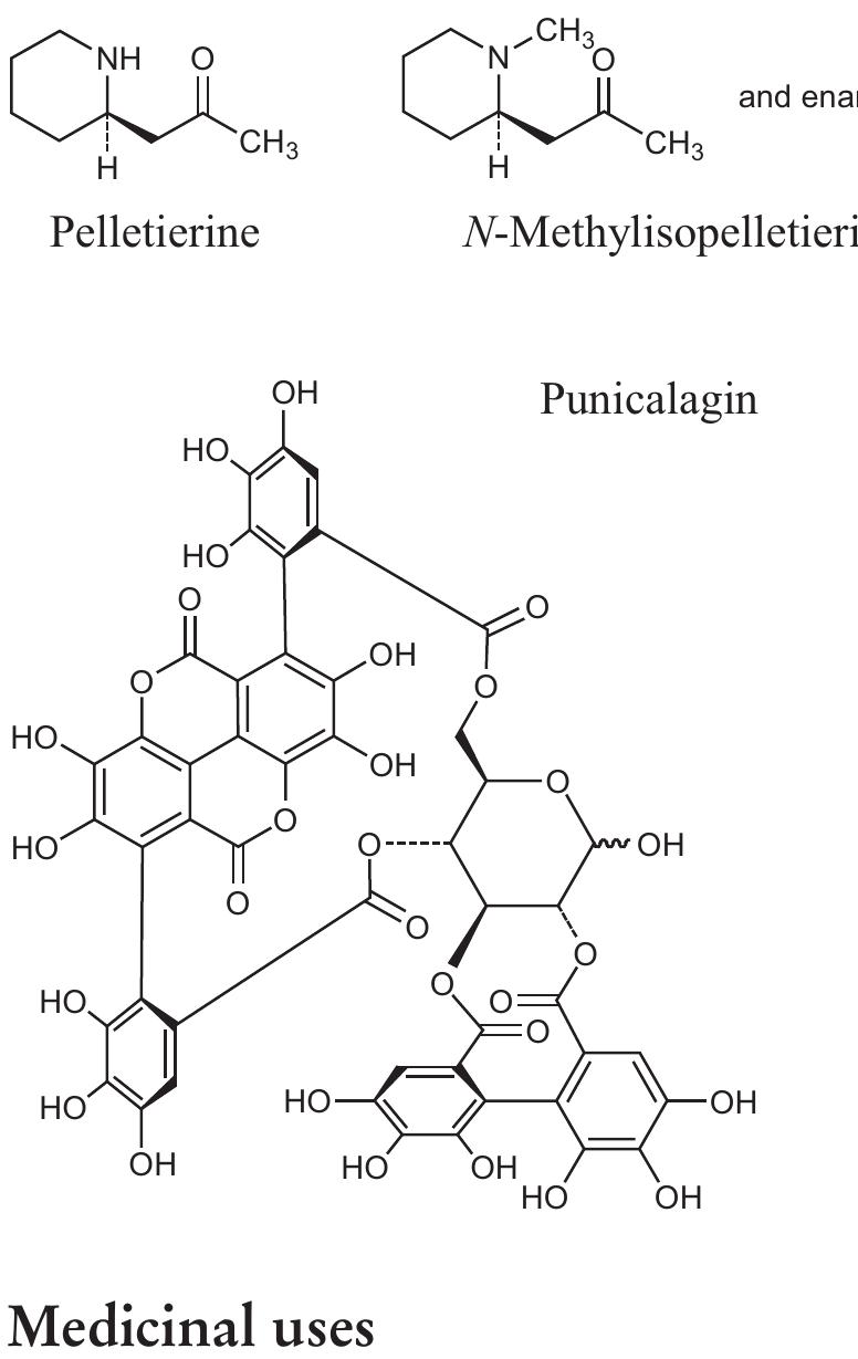 L BUILD Hi -νガンダム　2セット PDF) Using Phylogenomic Data to Explore the Effects of