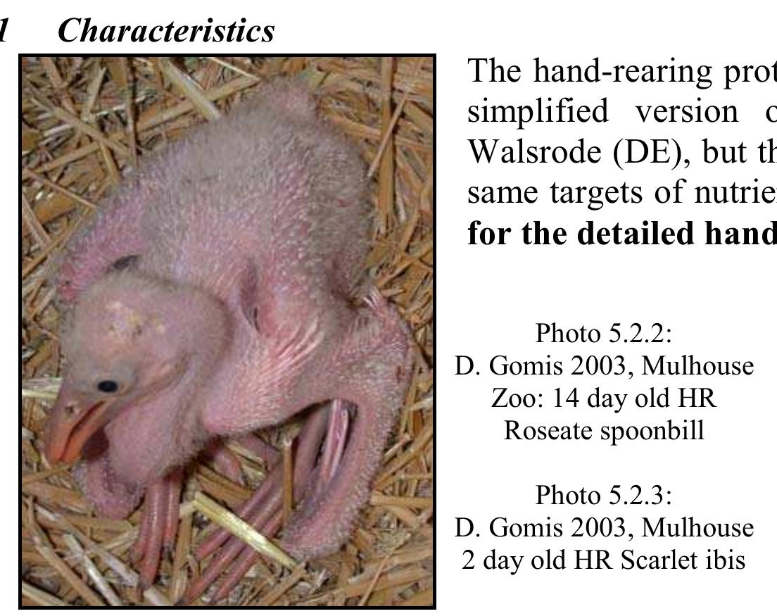 Hand Rearing Mix Graph 8.3.2 : daily intake percentage for hand-rearing