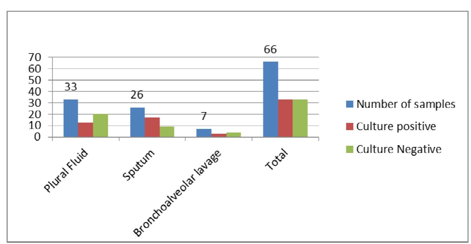 (PDF) MICROBIOLOGICAL PROFILE AND ANTIBIOGRAM PATTERN OF LOWER ...