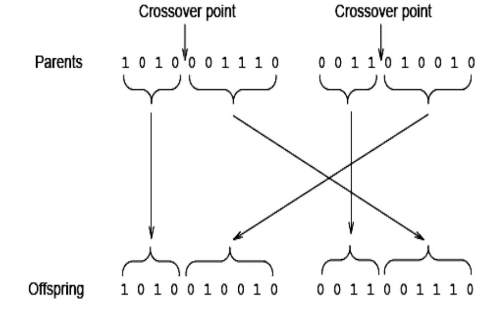 (PDF) A Crossover probability distribution in genetic algorithm under ...