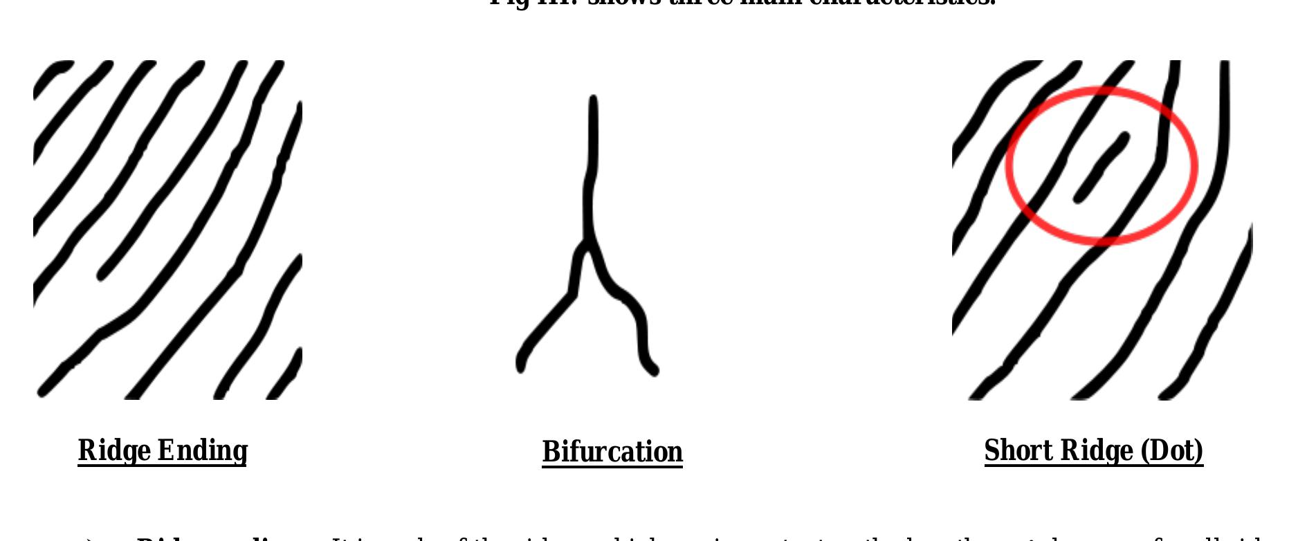 (PDF) A Study on Fingerprint (biometrics) Recognition