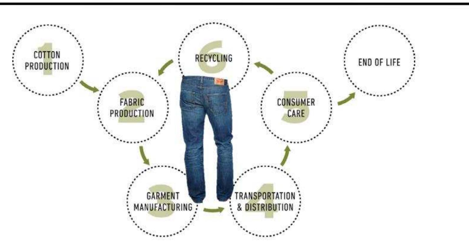 Figure 18 - from Comparative Analysis of Life Cycle