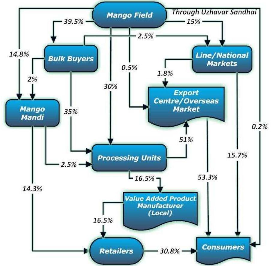 3 flowchart shows the supply chain of mango the