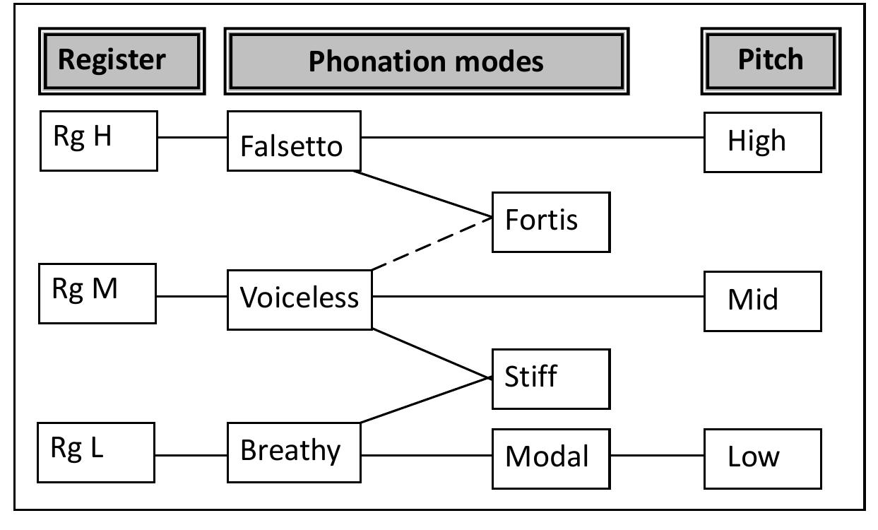 The six major types are arranged from top to bottom in Fig.6 roughly in accordance with
pitch height. By these phonation types three tonological registers (cf. ‘register’ in this volume)
are defined. Not every phonation type can identify a register. Essentially, only three types,
Falsetto, Voiceless, and Breathy Voice, if occurring in a tone language, can define an
independent register. Falsetto defines the highest H Register. Breathy Voice defines the lowest
L Register. Voiceless defines the commonest, default, M Register. Every tone language, every
language indeed, has this register.
 Figure 7 shows the statuses of vocal cords of three phonation types. The vocal cords in
the left panel, which is for a falsetto sound, are stretched tightly; they are longer, wider, and
thinner than the ones in the middle panel, which is for a modal voice. In the right panel is a
slack voice. The vocal cords in this panel do not close entirely. Airflow is continuously
leaking out through the aperture of the glottis even during the closing phase of vibration.
Slack voice is perceived as having a low pitch and noise on the vowel.
