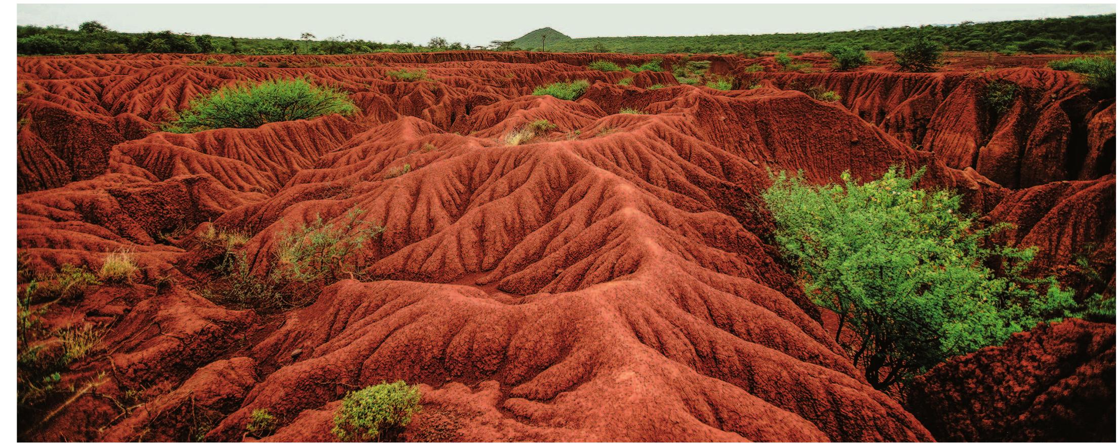 Soli Disruption Large-scale erosion forming a gully system in the watershed