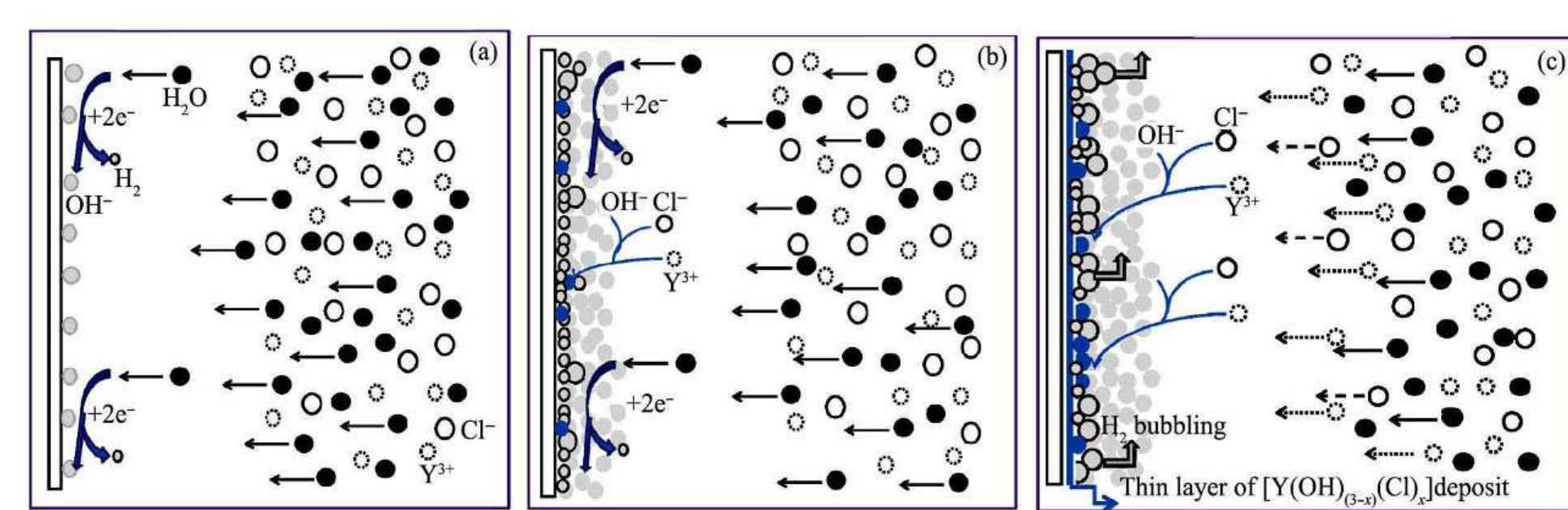 (PDF) Electrochemical preparation and characterization of brain-like ...