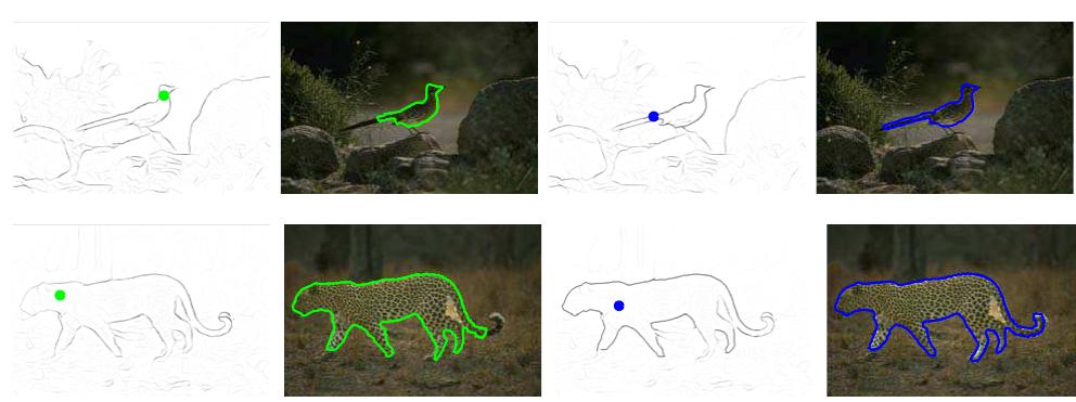 (PDF) Active Visual Segmentation
