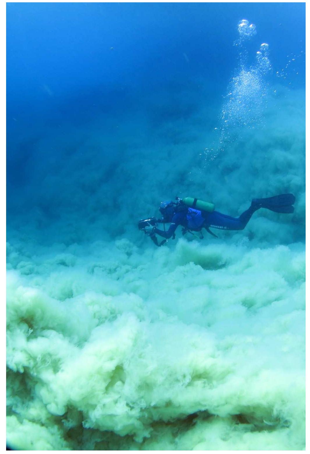 Fig. 3. A diver overlooking a hyperpycnal flow, turbidity current that originated from discharge of sediment-laden flood waters during Flood #4 (photograph by Gil Ko- plovitz). A corresponding underwater video of this hyperpycnal flow (Video-S1) is attached to the supplementary material. 