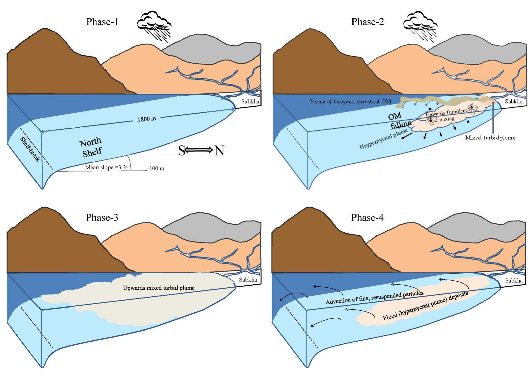 Fig. 8. Descriptive model summarizing observed phases of sediment introduction into the GOA during flashfloods from ephemeral rivers and thereafter. Phase 1: Patchy, short term (few hours) rainfall occurs over the terrestrial drainage and water runoff and flooding occurs in the otherwise dry riverbeds. Phase 2: Runoff and floods from the ephemeral rivers join at the main drainage canal and reach the sea heavily laden with sediment; the lapse between the initiation of rainfall and arrival of the flood at the GOA may take a few hours. Light, buoyant, primarily terrestrial organic material carried on the floodwaters, separates from the mostly inorganic fine sediment once the stream reaches the GOA, and remains on the surface producing a confined stream of floating debris. As the debris becomes saturated with seawater and loses buoyancy, a portion will sink to the seafloor. The remaining muddy, high density waters plunge to the sea bottom very close to the shore and produce a hyperpycnal flow that primarily rolls down the slope, but also fans out laterally. Turbulence caused by shear between the hyperpycnal flow and the overlying water, facilitates the billowing (vortices) and upwards mixing of the sediment. This fully mixed turbid layer first builds up close to shore. Phase 3: In a process moving from shallow to deeper waters, the mixing progresses and causes a portion of the sediment in the hyperpycnal flow to reach the surface and become visible from above. The initial mixing occurs within hours of the arrival of the floodwaters to the GOA, but the presence of the visible plume remains for weeks, likely owing to wave resuspension. Phase 4: Following the flood and the resulting hyperpycnal flow, much of the discharged sediment deposits on the shelf. Over time (months to years), resuspension (physical and biological) and advection removes the finer sediment fraction to the deep sea. 