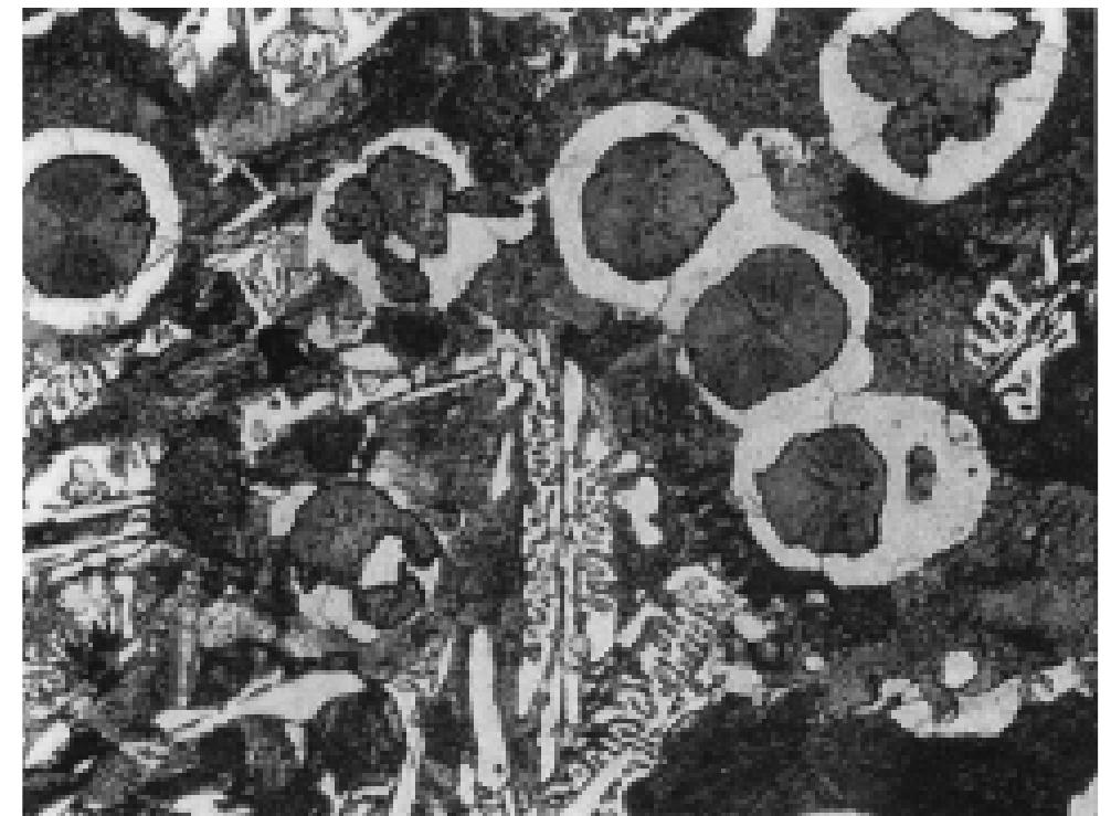 Ductile iron microstructure illustrating primary carbides in