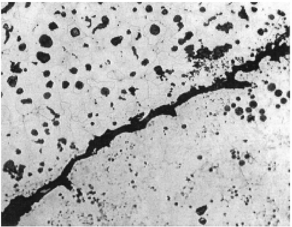 Ladle Inoculation Figure 28 - from Cast Iron Microstructure Anomalies and