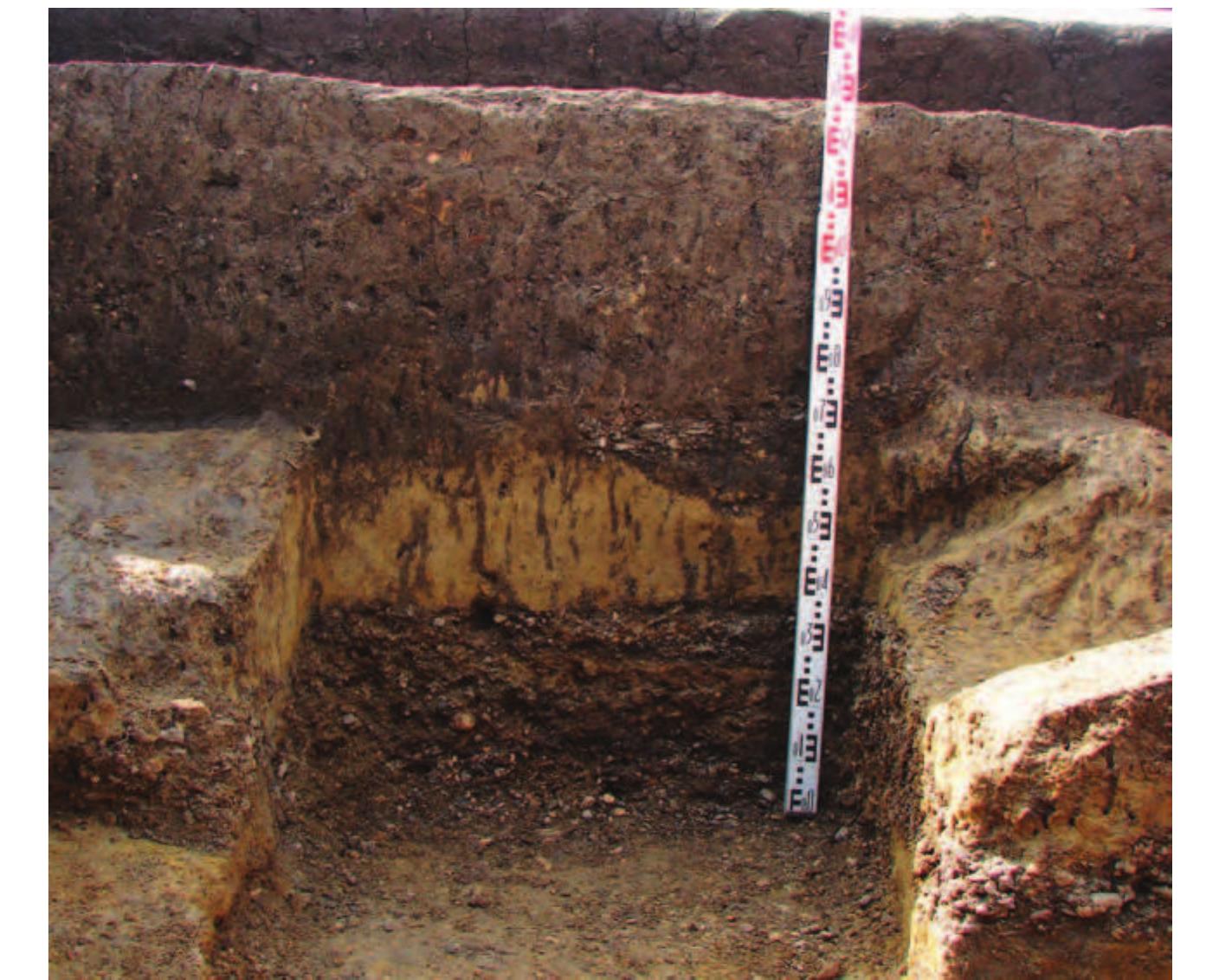 Figure 10: Kocicevo, 2012 trench, cut through riverbank  Slika 10: Kociéevo, sonda iz 2012. godine, presjek kroz obalu rijeke  The neolithic site of Koéi¢evo @ Neolitski lokalitet Ko¢i¢evo  