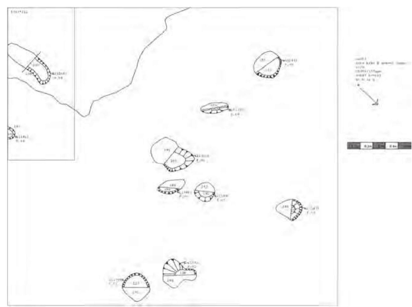 Figure 16: Kocicevo, 2013 trench, plan of features  Slika 16: Kocicevo, sonda iz 2013. godine, nacrt arheoloskih cjelina 