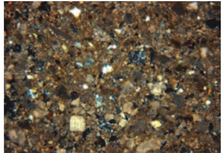 ka, jako sitne fragmente uglja 1 umje- rene humi¢ne tragove Sirom dna, sa odredenim fosforno - Zeljeznim for- macijama u Supljinama (Slika 22).  Slika 19: Fotomikrograf B/C sup- strata koji se uglavnom sastoji od manje i vise jednakih komada sitnog kvarcnog pijeska, mikrita i Ciste gli- ne, dno uzorka (Sirina okvira = 4.5 mm; ukrstena polarizovana svjetlost) 