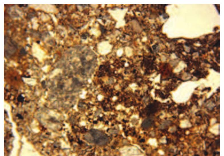 Slika 24: Fotomikrograf mikricke pjeskovito glinaste ilovace, primjer 1/1 (Sirina okvira = 4.5 mm; ravan- ska polarizovana svjetlost)  Figure 24: Photomicrograph of the micritic sandy clay loam, sample 1/1 (frame width = 4.5mm; plane po- larized light) 