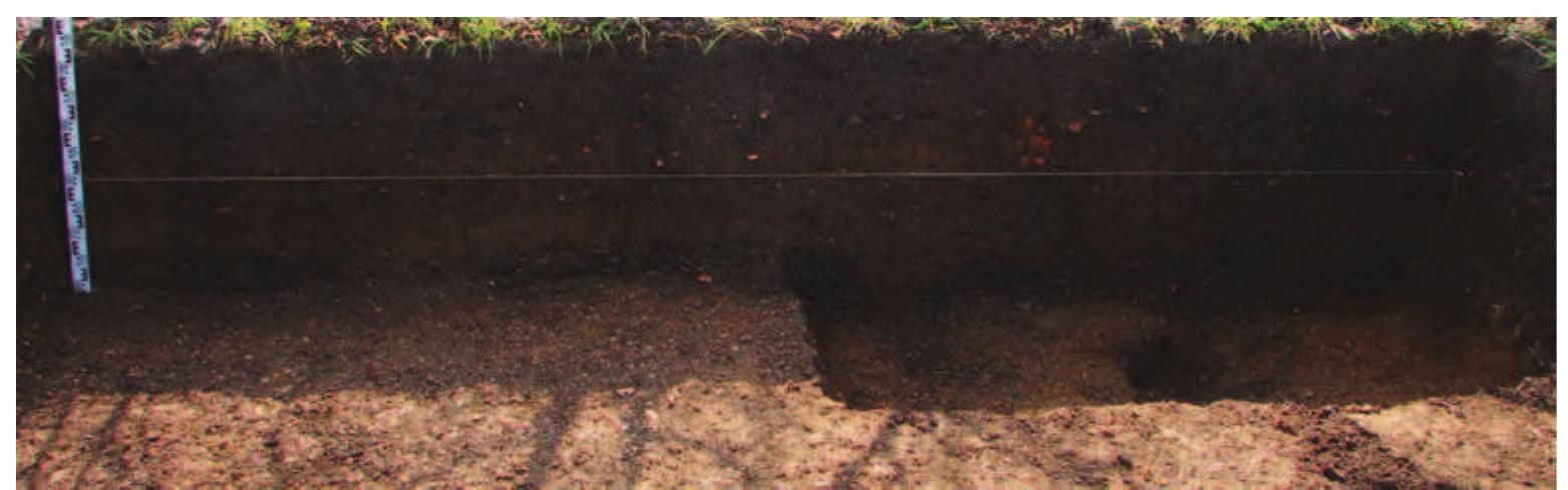 Slika 27: Kocicevo, profil sonde iz 2013. godine  Figure 27: Kocicevo, profile 2013 Trench 