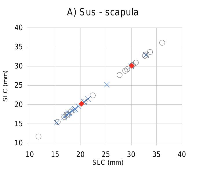 Ivana Pandzi¢ e Marc Vander Linden  