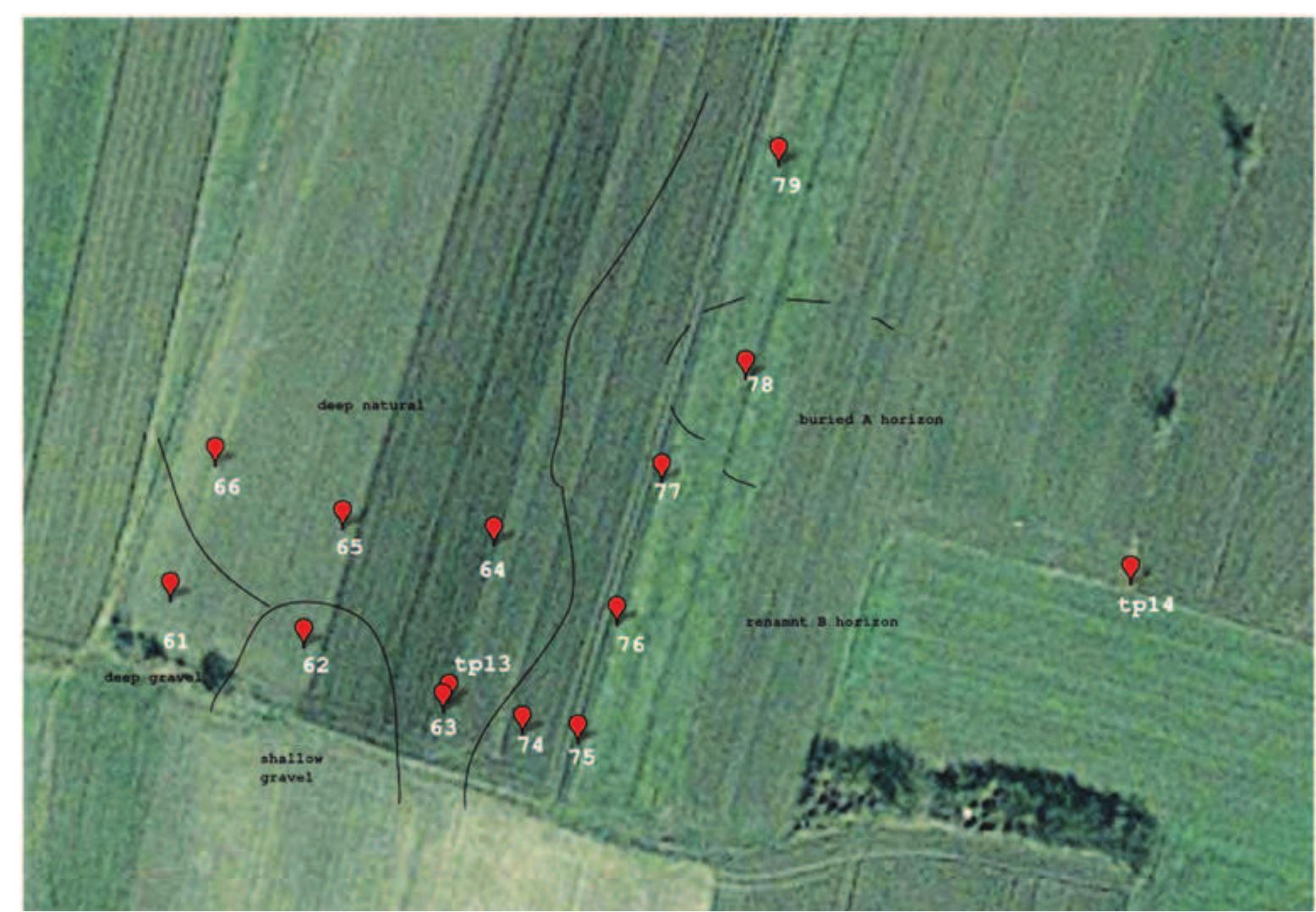 first, a short transect of three bore- holes looked at the area immediately around the mound, whilst a second grid of 12 holes was excavated in the area of the highest surface finds con- centrations (Figure 43).  Slika 43: Kosjerovo, pozicija bu- Sotina  Figure 43: Kojserovo, location of boreholes  prema podrucju neposredno iza na- sipa, dok je drugi mreza od 12 rupa iskopanih u podruéju najvece kon- centracije povrsinskih pronalazaka (Slika 43). 