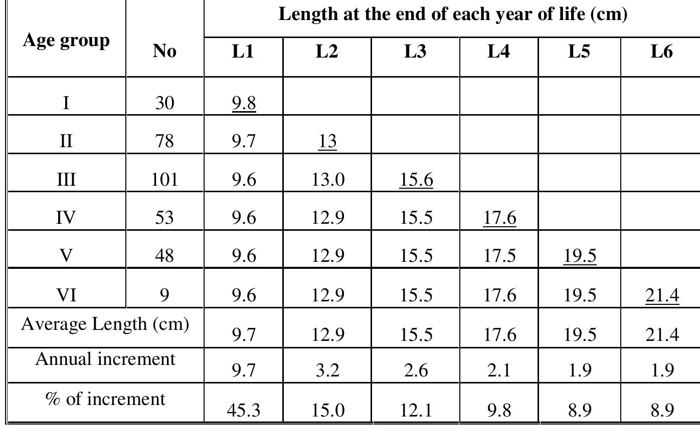 Table (1): Mean back calculated lengths at different age group of B. boops of Wester Mediterranean Coast of Egypt during 2003-2004.  