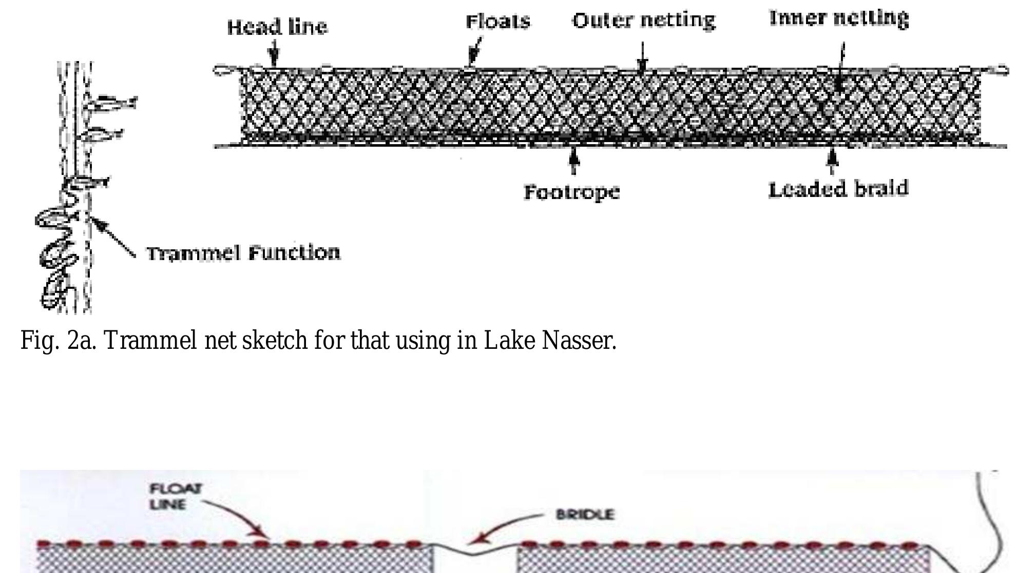 Fig. 2b. Gill net sketch for that using in Lake Nasser 