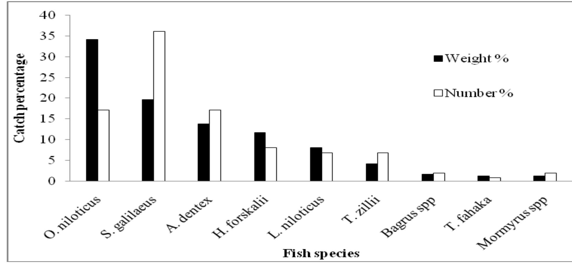 Fig. 4. Species composition in the whole lake Nasser in weight and number (in percentage) during the study period. 