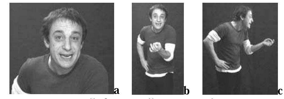 Still frames illustrating the 3 camera angles used in the