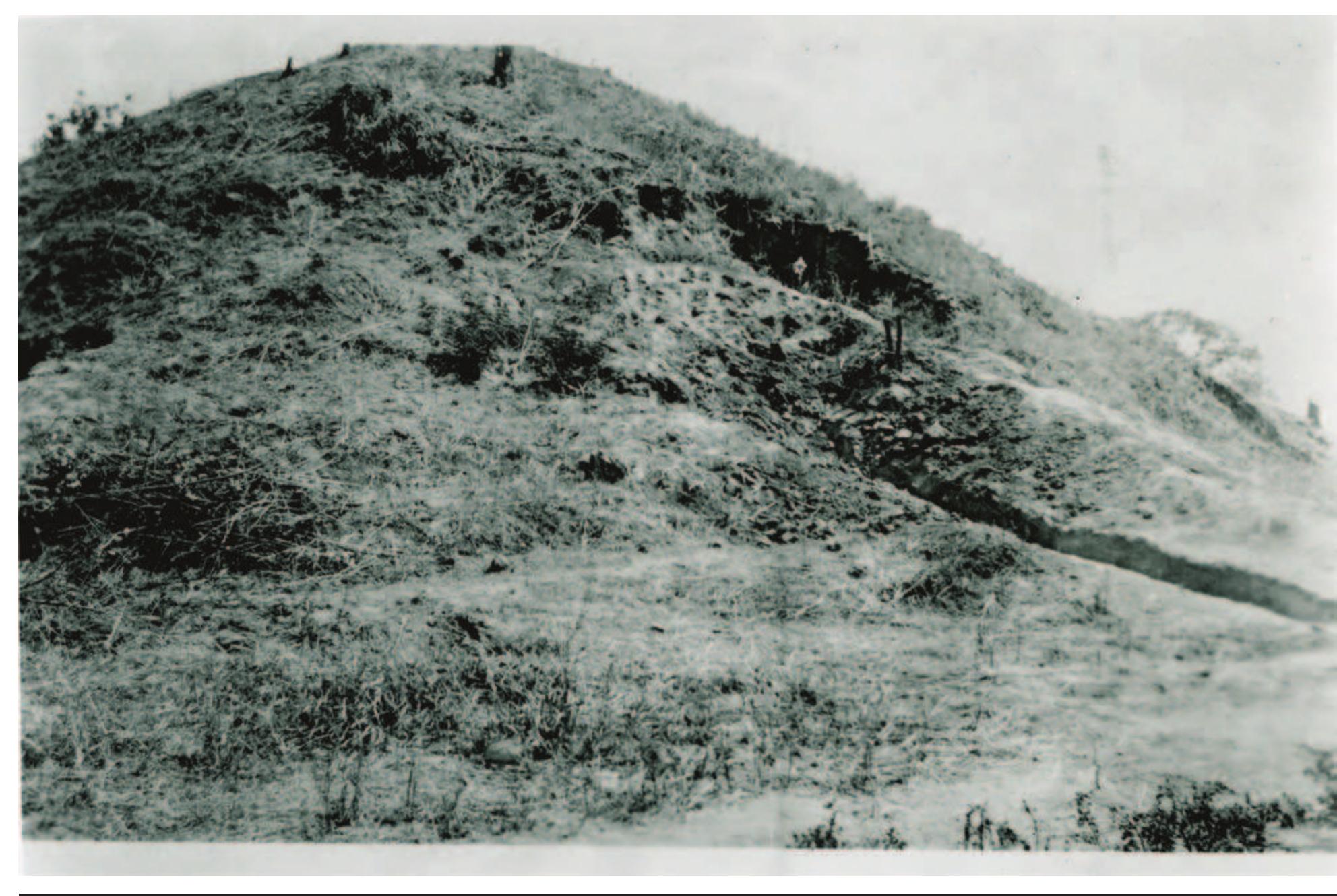 FIGURE 2.2. The north cone of the Craig Mound during excavation by the WPA. Photograph taken by H. M. Trowbridge on 6 September 1936 (Trowbridge Catalog in Waldo Wedel correspondence file, National Anthropological Archives, National Museum of Natural History). 
