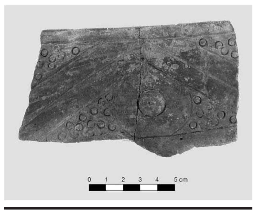 FIGURE 4.6. Pennington Punctate rim sherds (448642). 