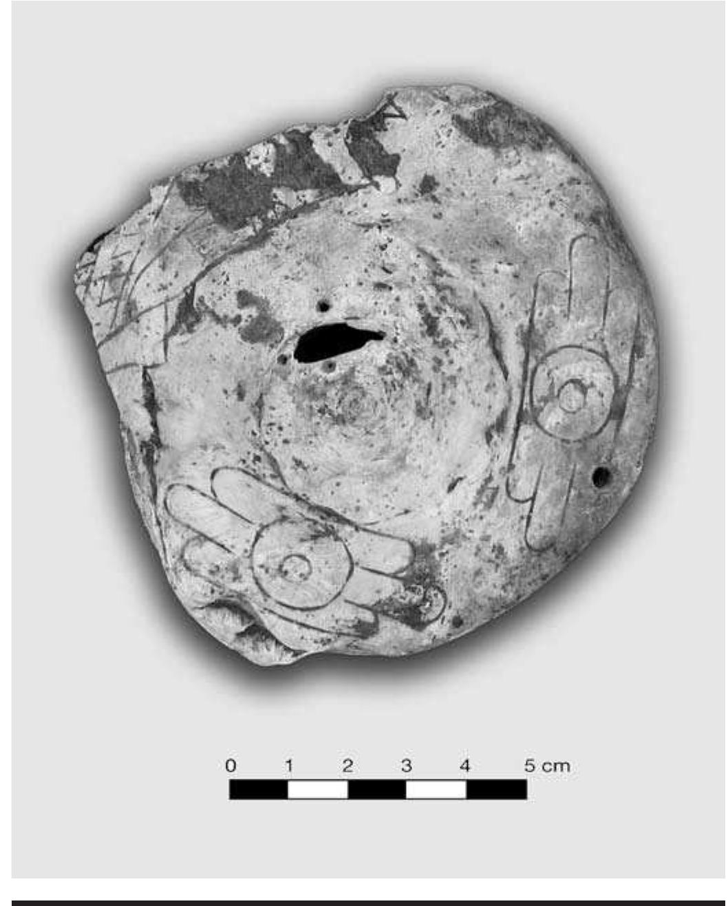 FIGURE 4.18. Drilled holes in shell apex perhaps indicating a repair (448880s29). 