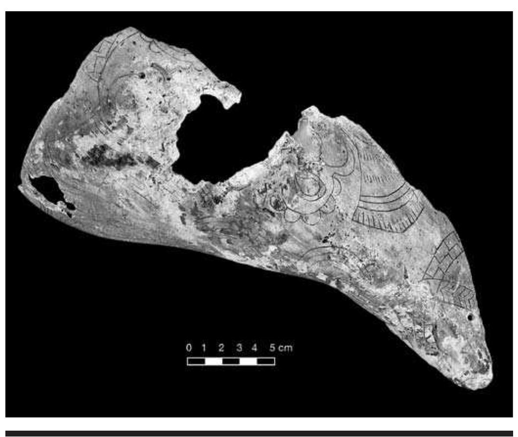 FIGURE 4.22. Braden B bird motif with court card symmetry (423257). 