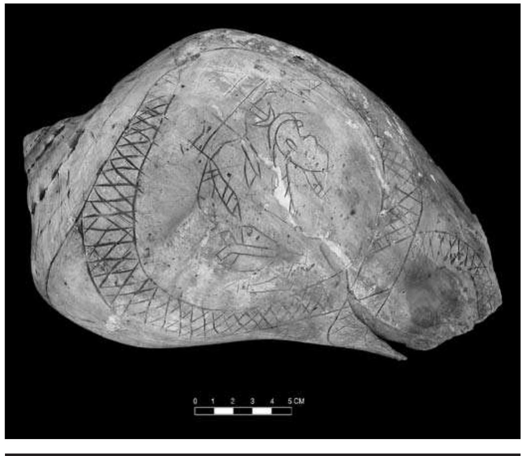 FIGURE 4.24. Snake and warfare motifs in Braden C style (448809).  Scenes suggesting warfare continue. Cup 448809 is sketchily executed and almost appears unfinished. In the design a face hangs from a mace and has one eye outside on its forehead. Raccoon bindings are present on another mace. These are combined with snakes that are cross- hatched and intertwined. Feathers hang from both the 