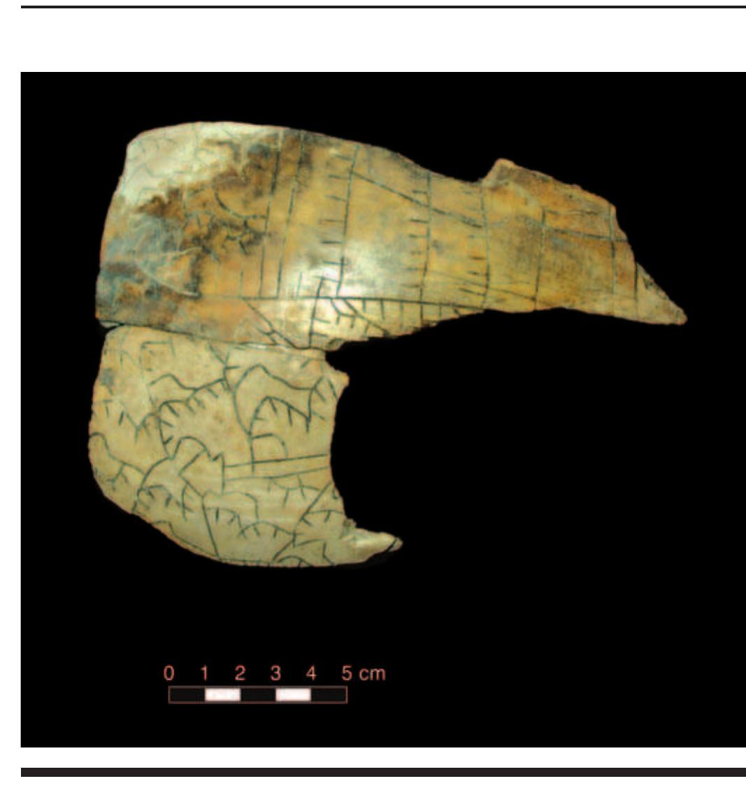 FIGURE 4.28. Fragment of Craig A style cup (448871s01) depicting a bison flank (in lower section) shot with an arrow. 