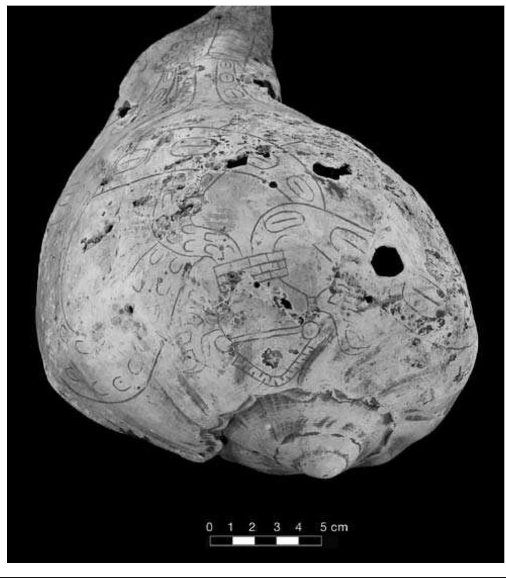 FIGURE 4.30. Fabulous beast with serpentine, avian, and raccoon features (423236). 
