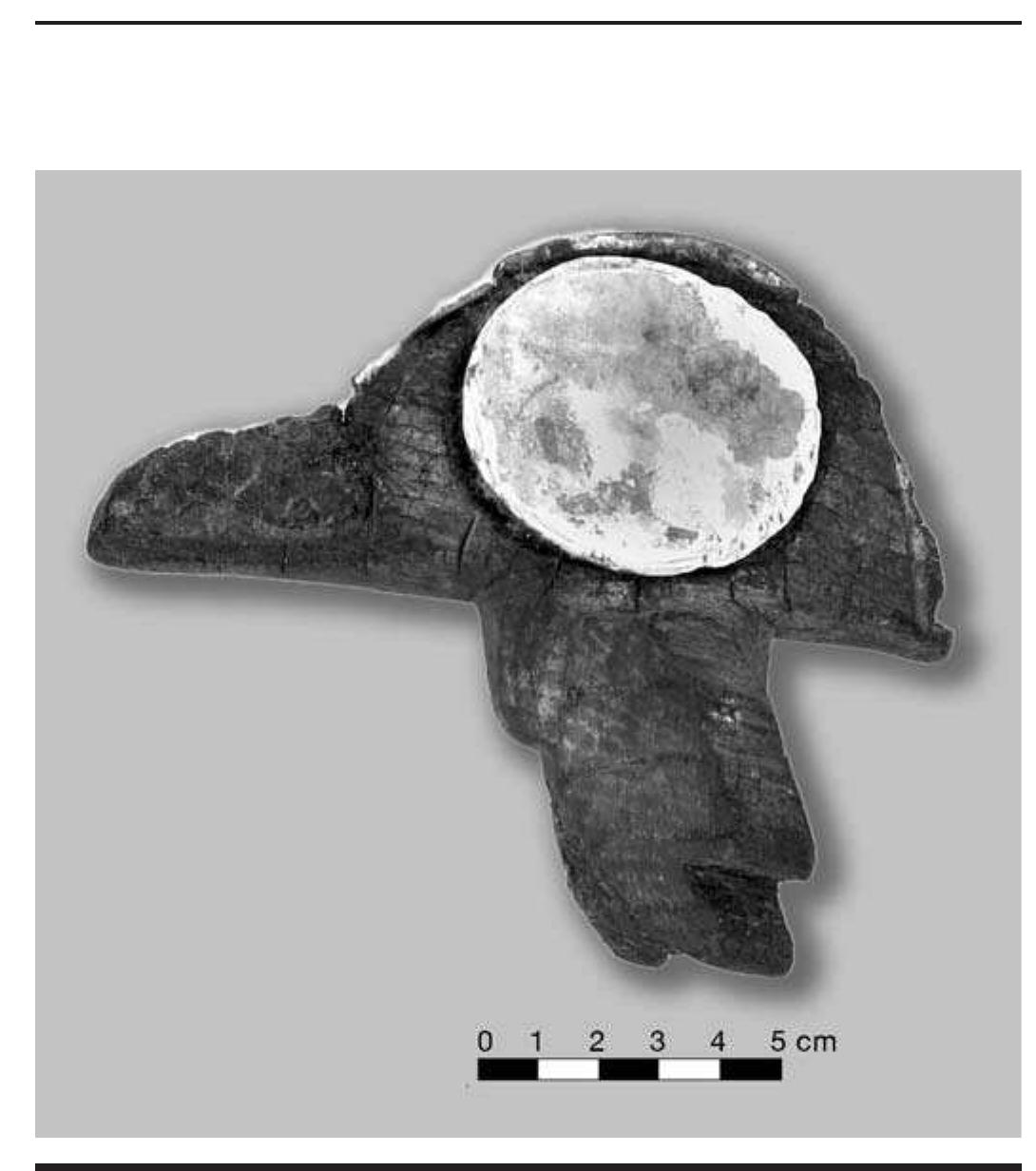 FIGURE 4.38. Wood bird head effigy perched on bowl rim (448894). 