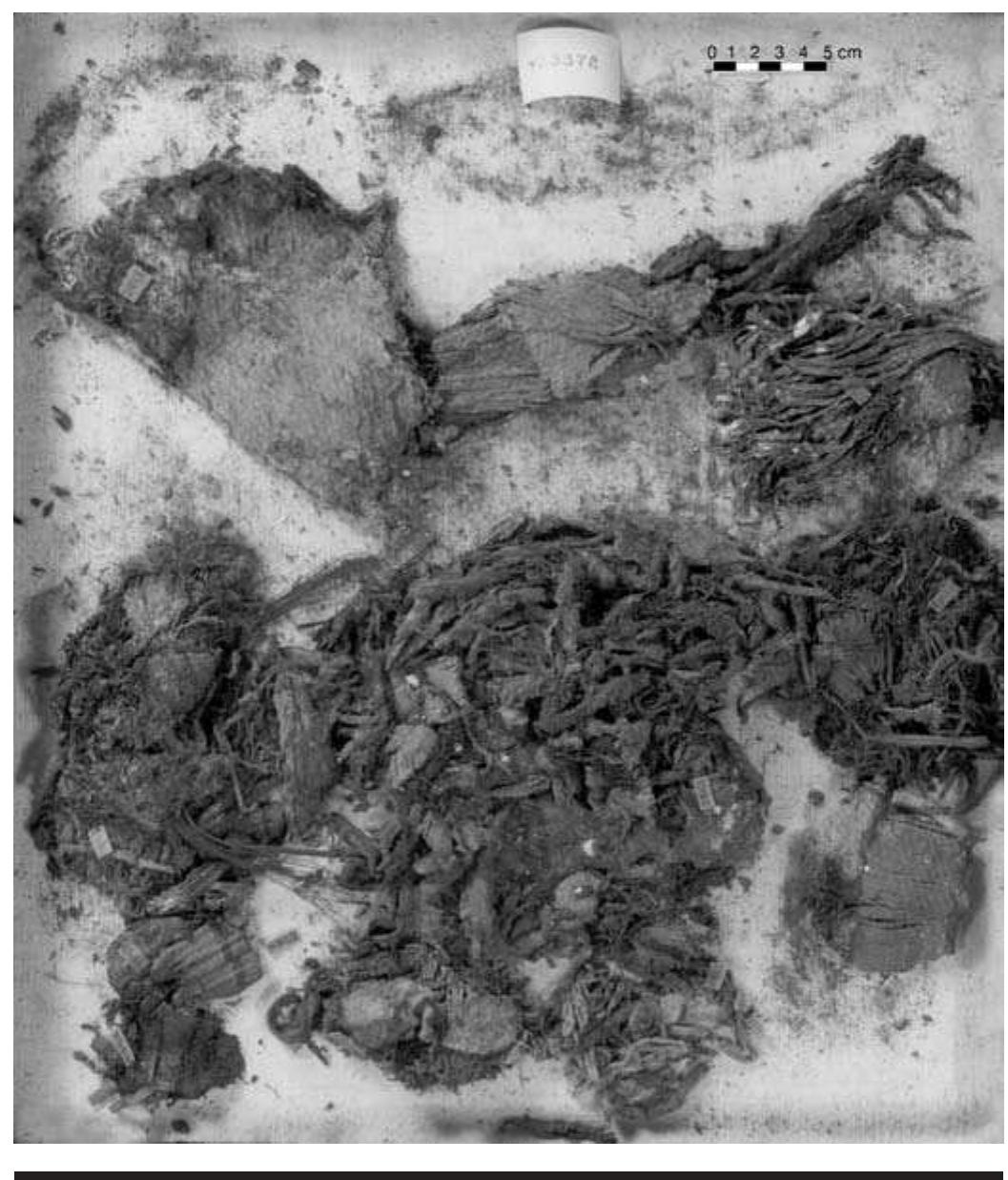 FIGURE 5.1. The contents of one of Trowbridge’s boxes of textile fragments (423372). 