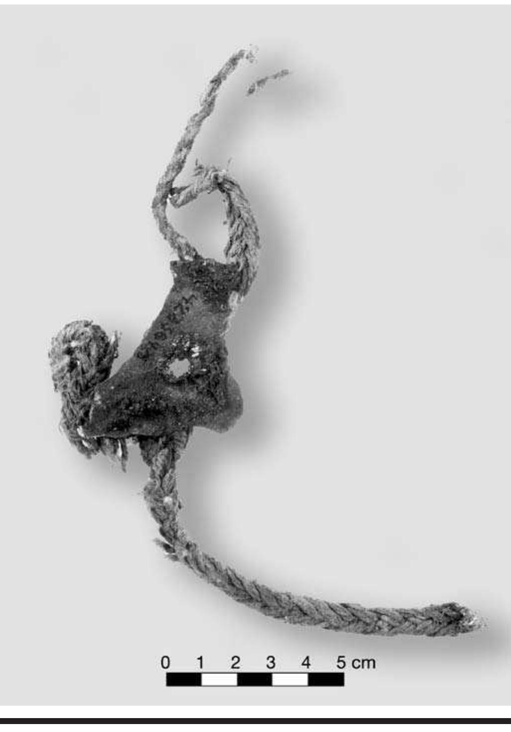 FIGURE 5.4. Braid (423384). 