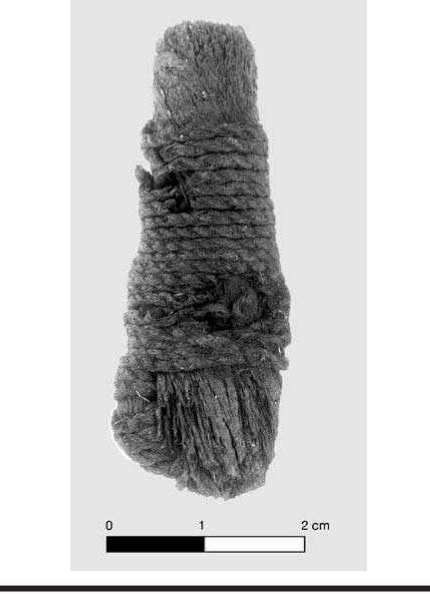 FIGURE 5.3. Cord-wrapped paddle (423381). 
