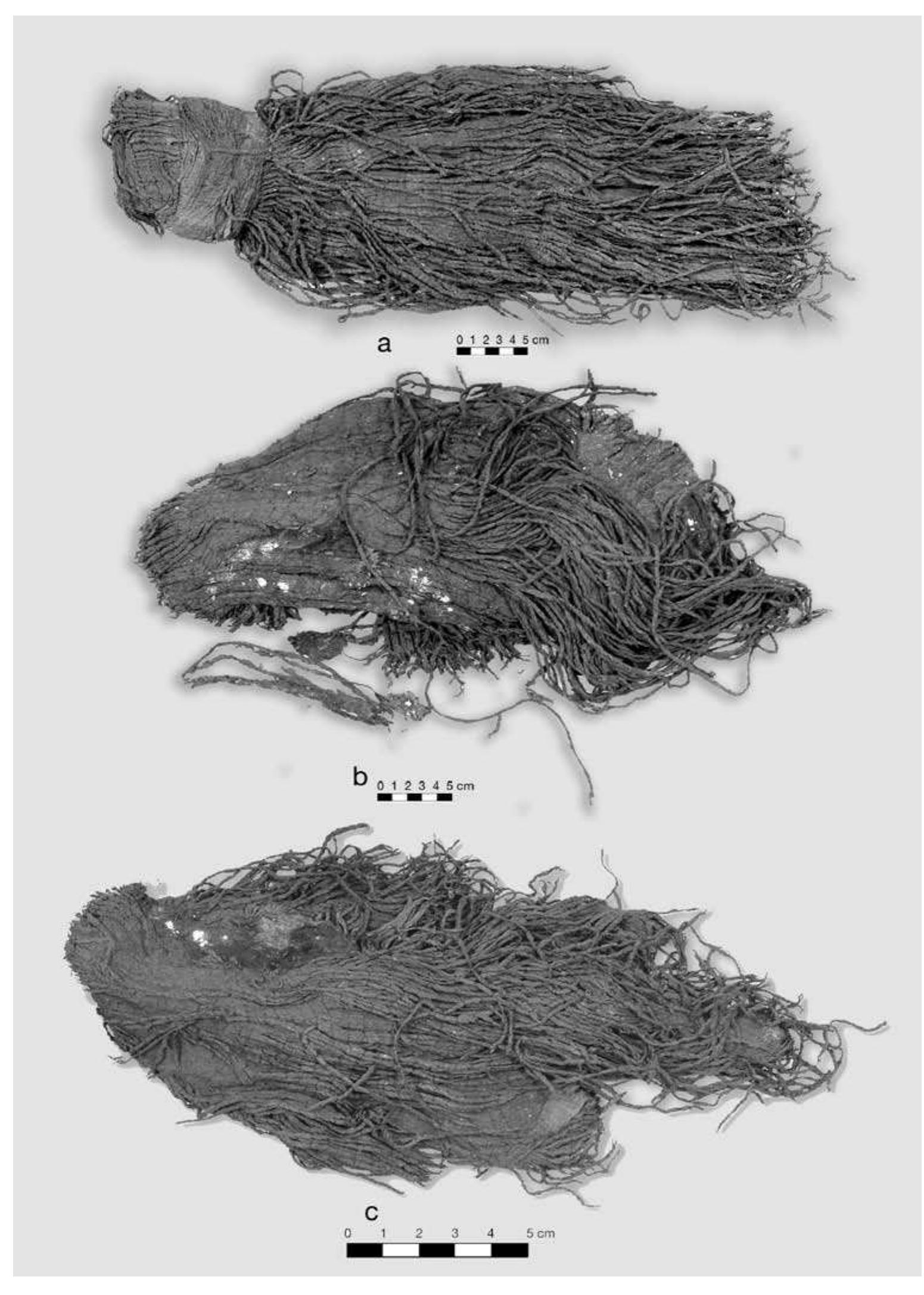 FIGURE 5.7. Bundles of spaced weft twining: a, 423361; b, 423360, wefts decomposed; c, 423362 wefts decomposed.  The remainders, which have been unfurled, demonstrate that several different cloth types are manufactured using this technique. In one type, the warps consist of a rela- tively wide gauge yarn approximately 3 mm in diameter. Wefts are sometimes missing in this type, leaving skeletal  Medium-gauge yarns are used in making a spaced weft twined cloth. There are seven bundles of spaced weft ‘loth that have not been unfurled (Figures 5.7, 5.8, 5.9). 