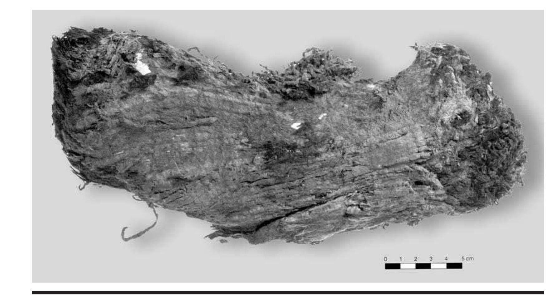 FIGURE 5.9. Bundle of cloth (423366), spaced weft twining.  A third type of spaced weft twining involves a com- pletely different yarn used to make an unusually fine small weave (423379). The yarn is fine, approximately 1 mm in 