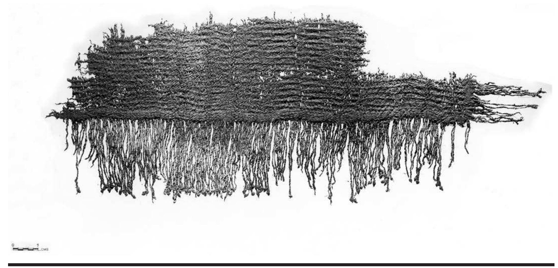 FIGURE 5.13. Spaced weft twining (423356). 