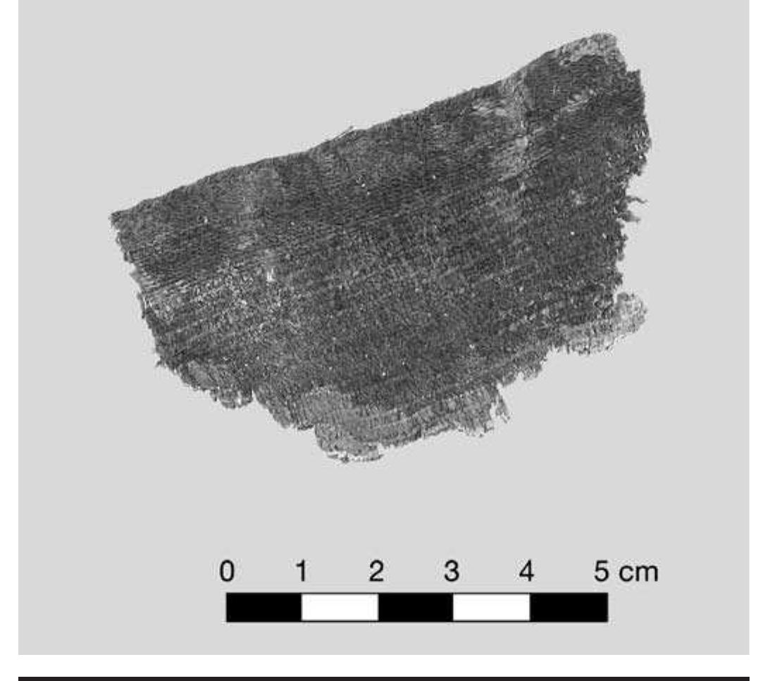 FIGURE 5.15. Spaced weft twining, tight weave (423379). 