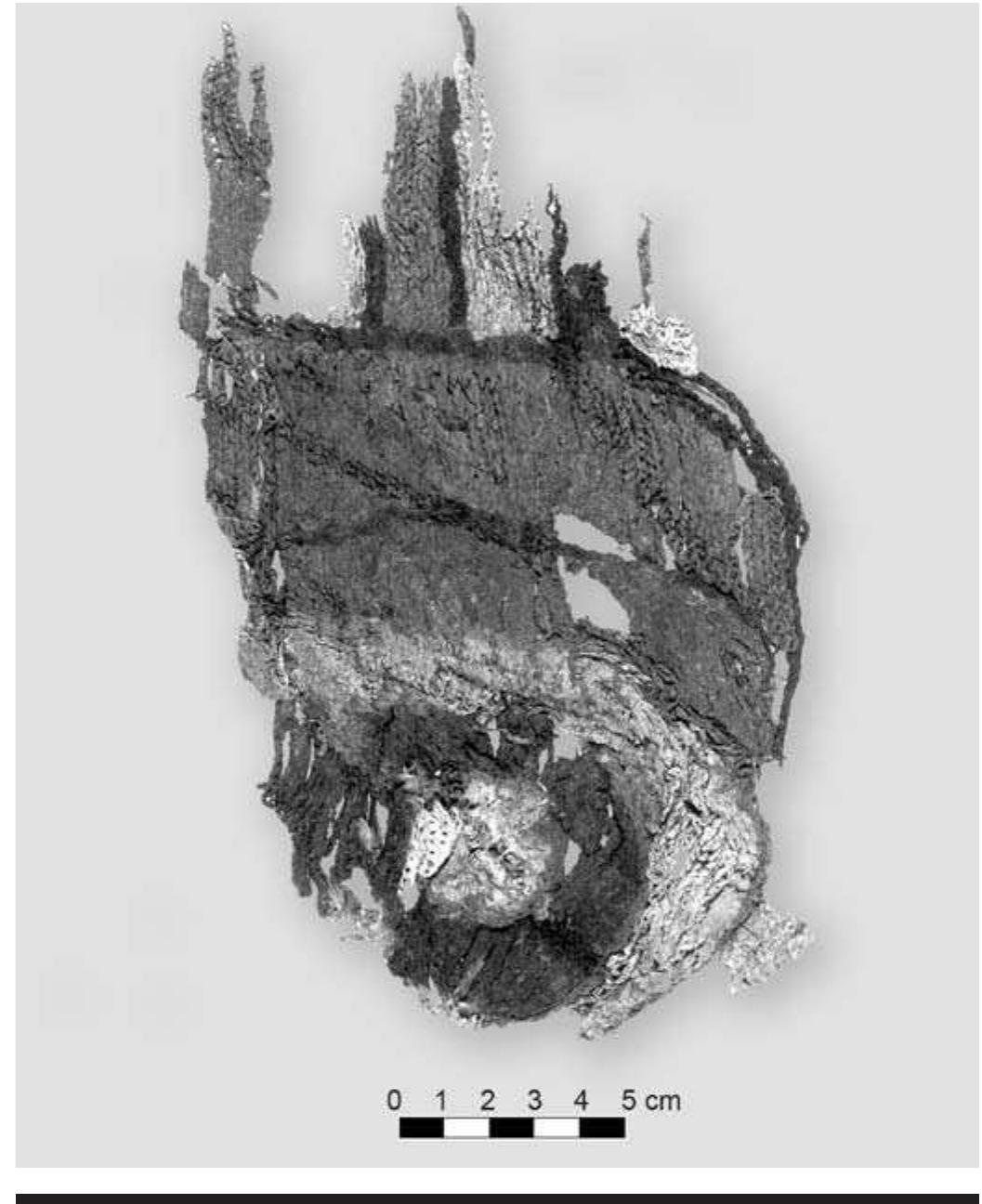 FIGURE 5.16. Twined tapestry (423373s24). 