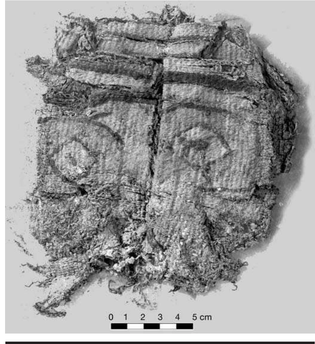 FIGURE 5.18. Twined tapestry showing human face (423373s27). 