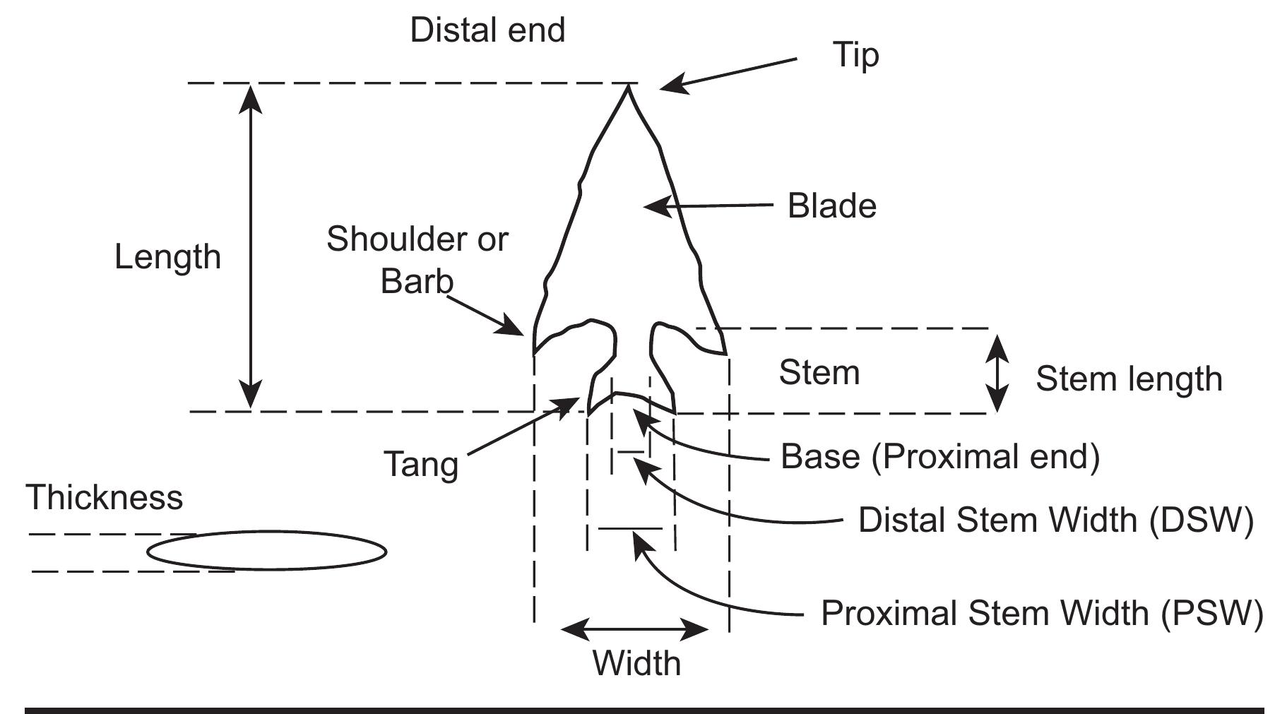 FIGURE 6.1. Diagram of a flaked lithic artifact showing nomenclature and measurements. After Brown (1976, 1996), Rogers (1980). 